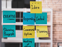 Agile Software Development